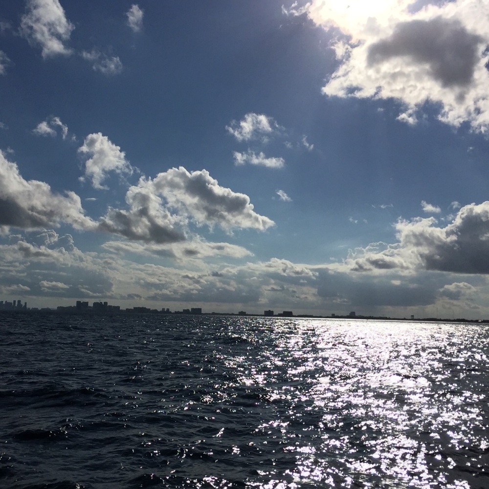 Meet your Posher, Diane